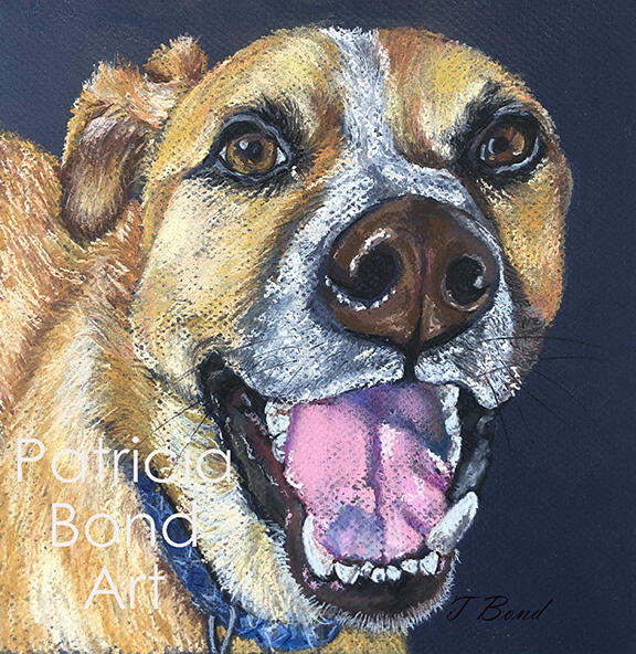 Radar the potcake pastel painting potcake pastel pet portrait